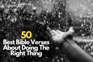 Best Bible Verses About Doing The Right Thing Bible Verses Of The Day