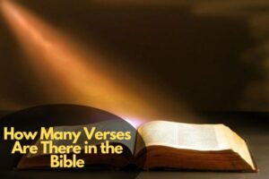 How Many Verses Are There In The Bible Bible Verses Of The Day