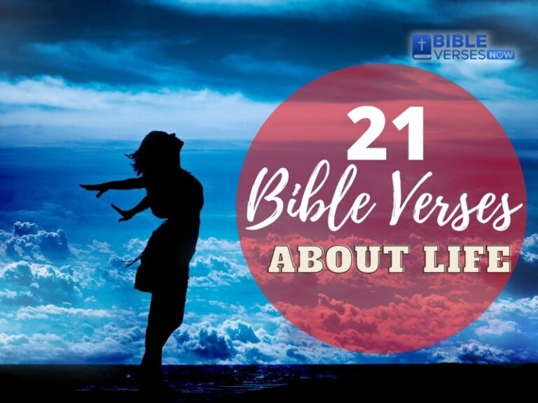 21 Bible Verses About life To Guide You Through Your Days – Bible ...