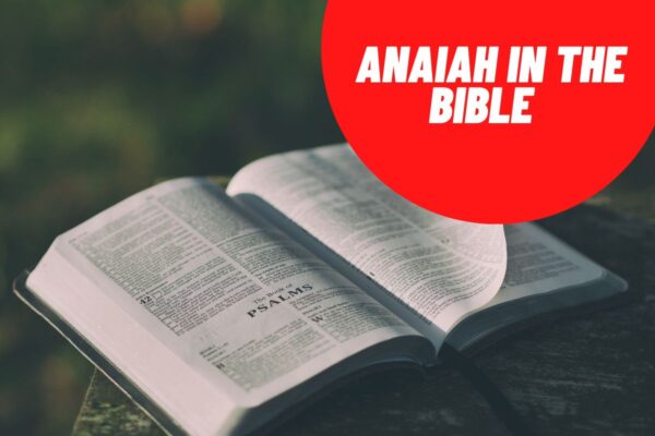 anaiah-in-the-bible-meaning-and-10-powerful-bible-verses