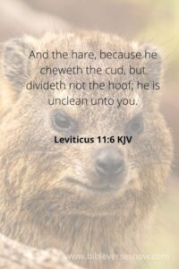 Leviticus_11-6 KJV