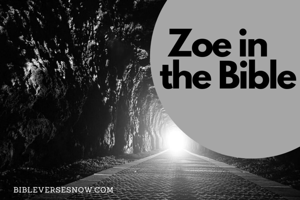 zoe-in-the-bible-discover-15-bible-verses-about-zoe