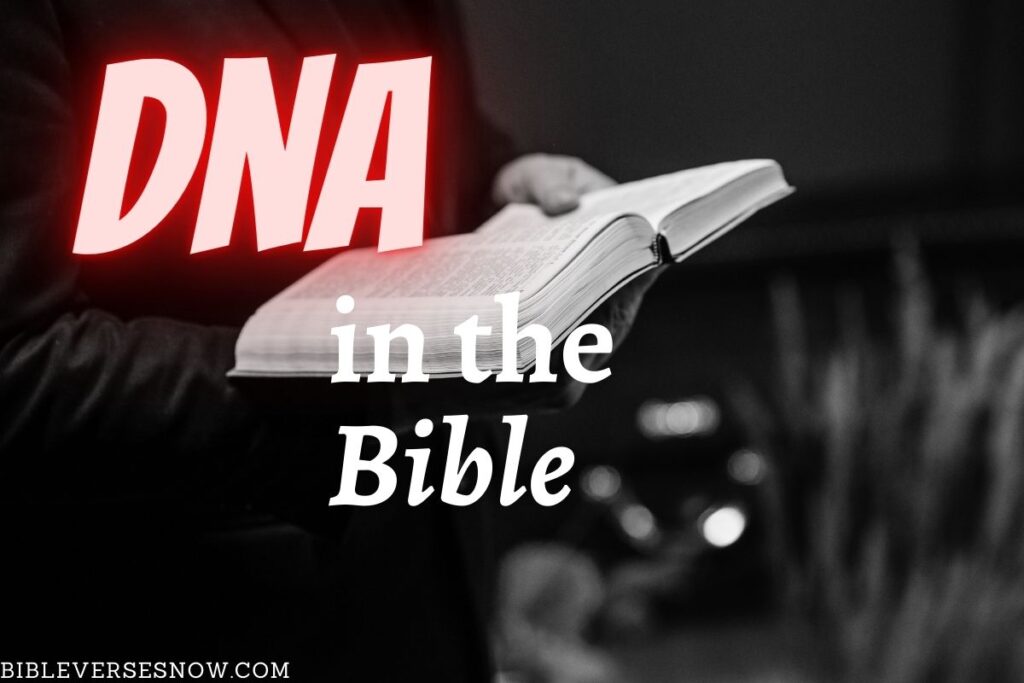 dna-in-the-bible-14-powerful-bible-verses-on-dna