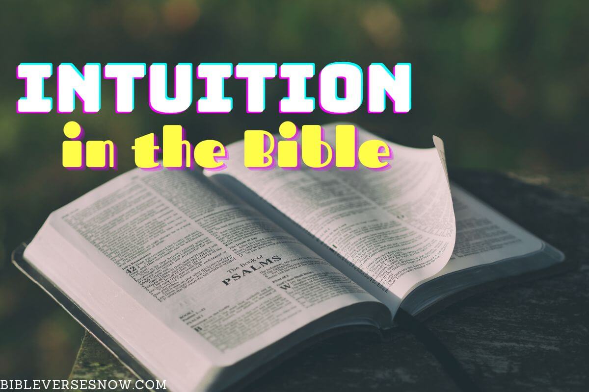 intuition in the bible