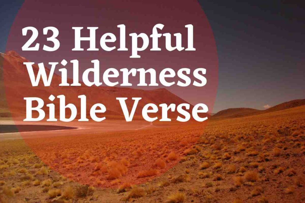 23-helpful-wilderness-bible-verse