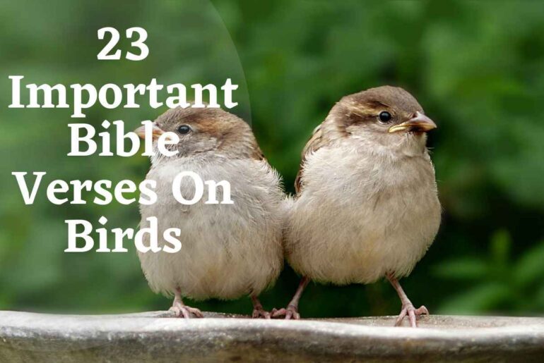 23-important-bible-verses-on-birds