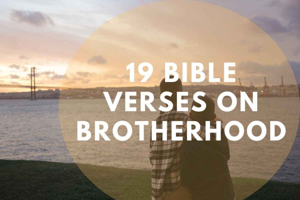 19-bible-verses-on-brotherhood