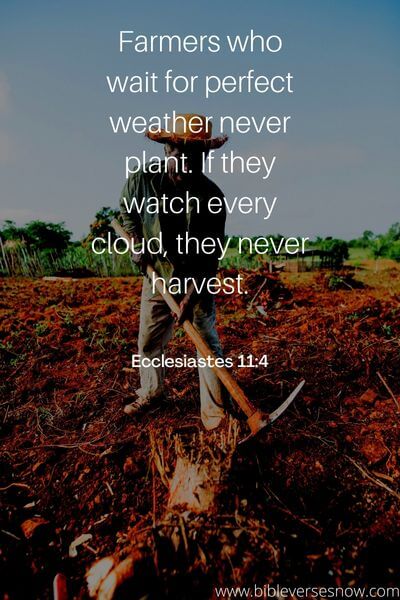 Ecclesiastes 11_4