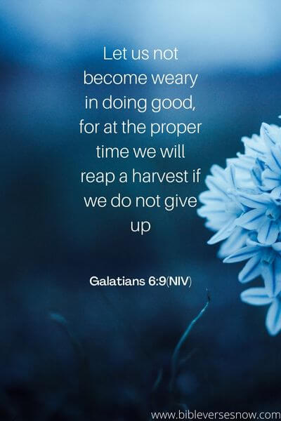 Galatians 6_9(NIV)
