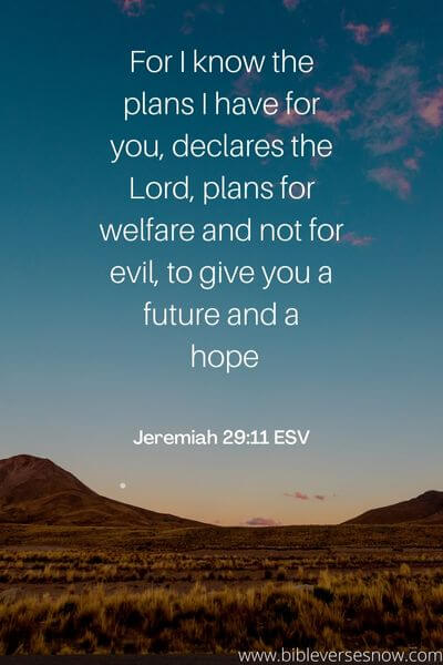 Jeremiah 29_11 ESV