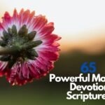 65 Powerful Morning Devotion Scriptures