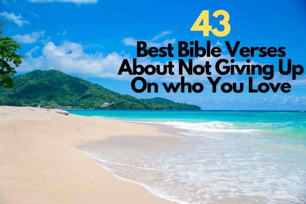 43 Bible Verses About Not Giving Up On who You Love Bible Verses of