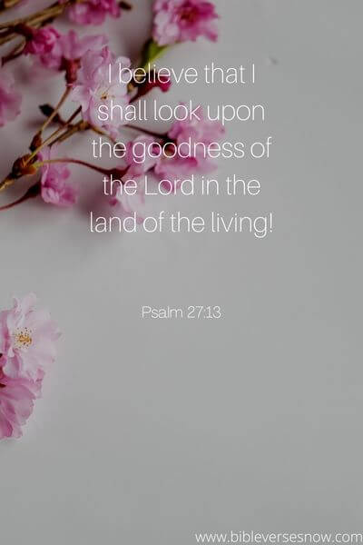 Psalm 27_13