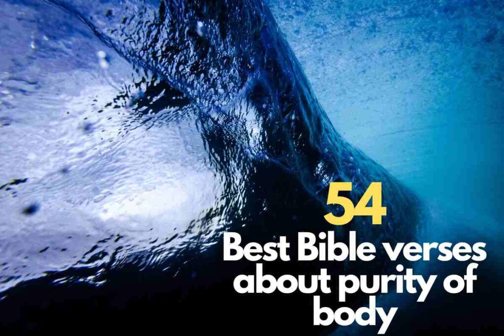 54 Best Bible Verses About Purity Of Body Bible Verses Of The Day