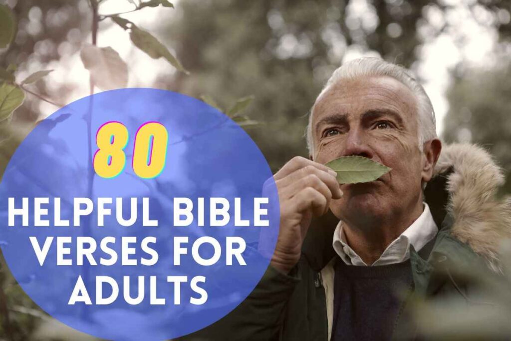 80-helpful-bible-verses-for-adults-2024