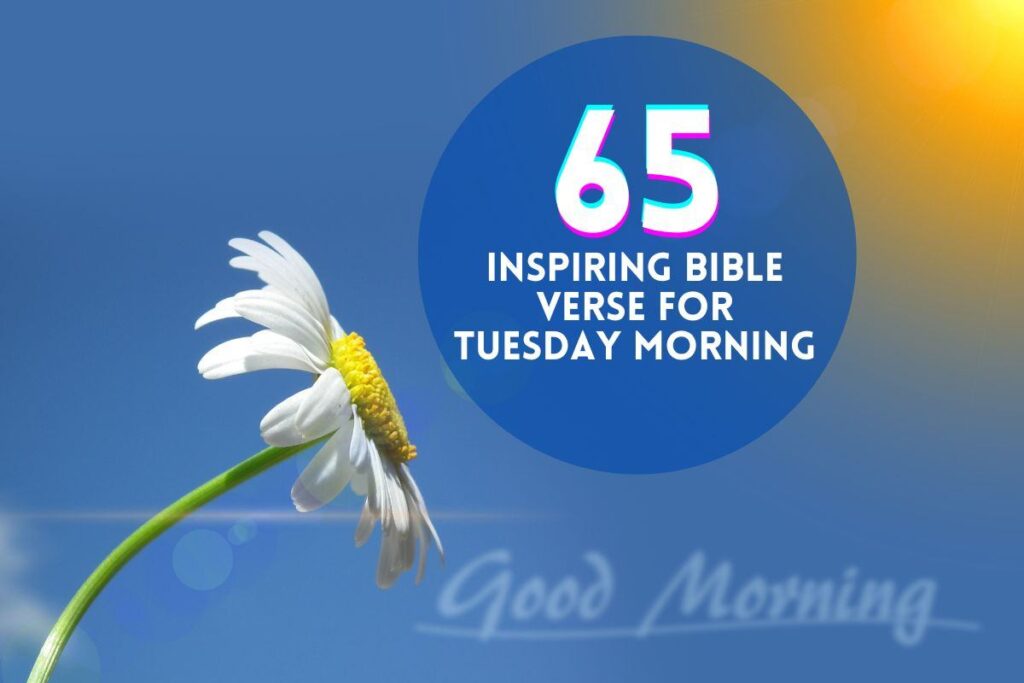 65-inspiring-bible-verse-for-tuesday-morning-bible-verses-of-the-day