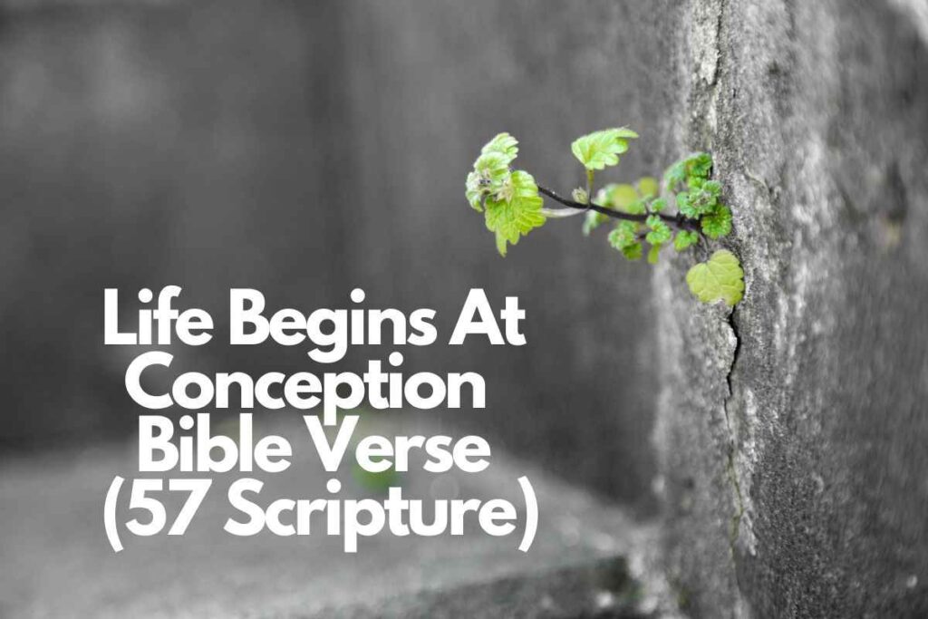 Life Begins At Conception Bible Verse (57 Scriptures) Bible Verses of