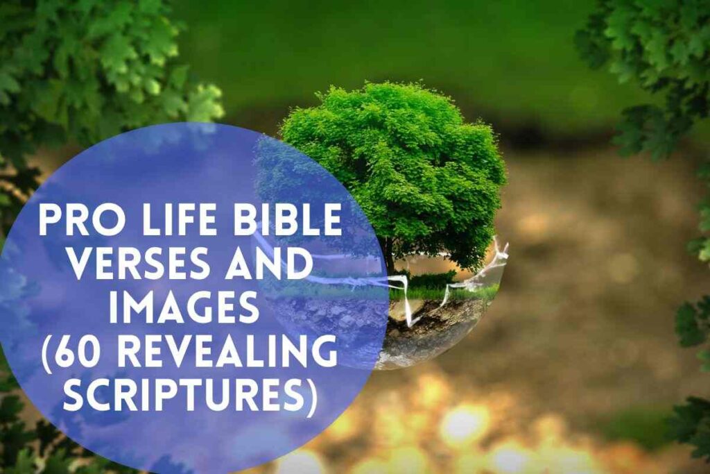 pro-life-bible-verses-and-images-60-revealing-scriptures-bible