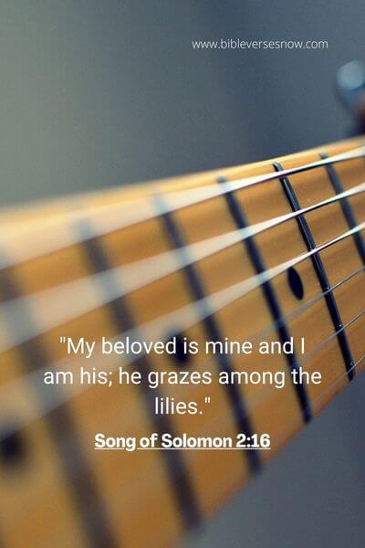 Song of Solomon 2_16