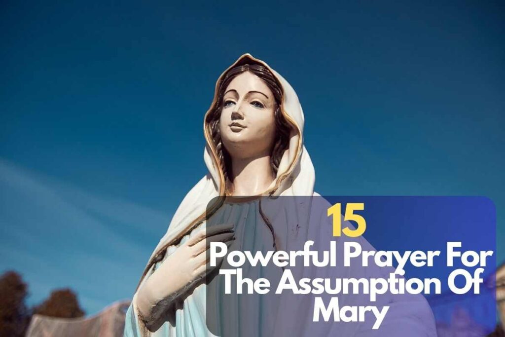 15 Powerful Prayer For The Assumption Of Mary – Bible Verses Of The Day