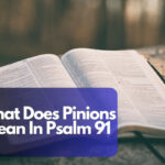 What Does Pinions Mean In Psalm 91