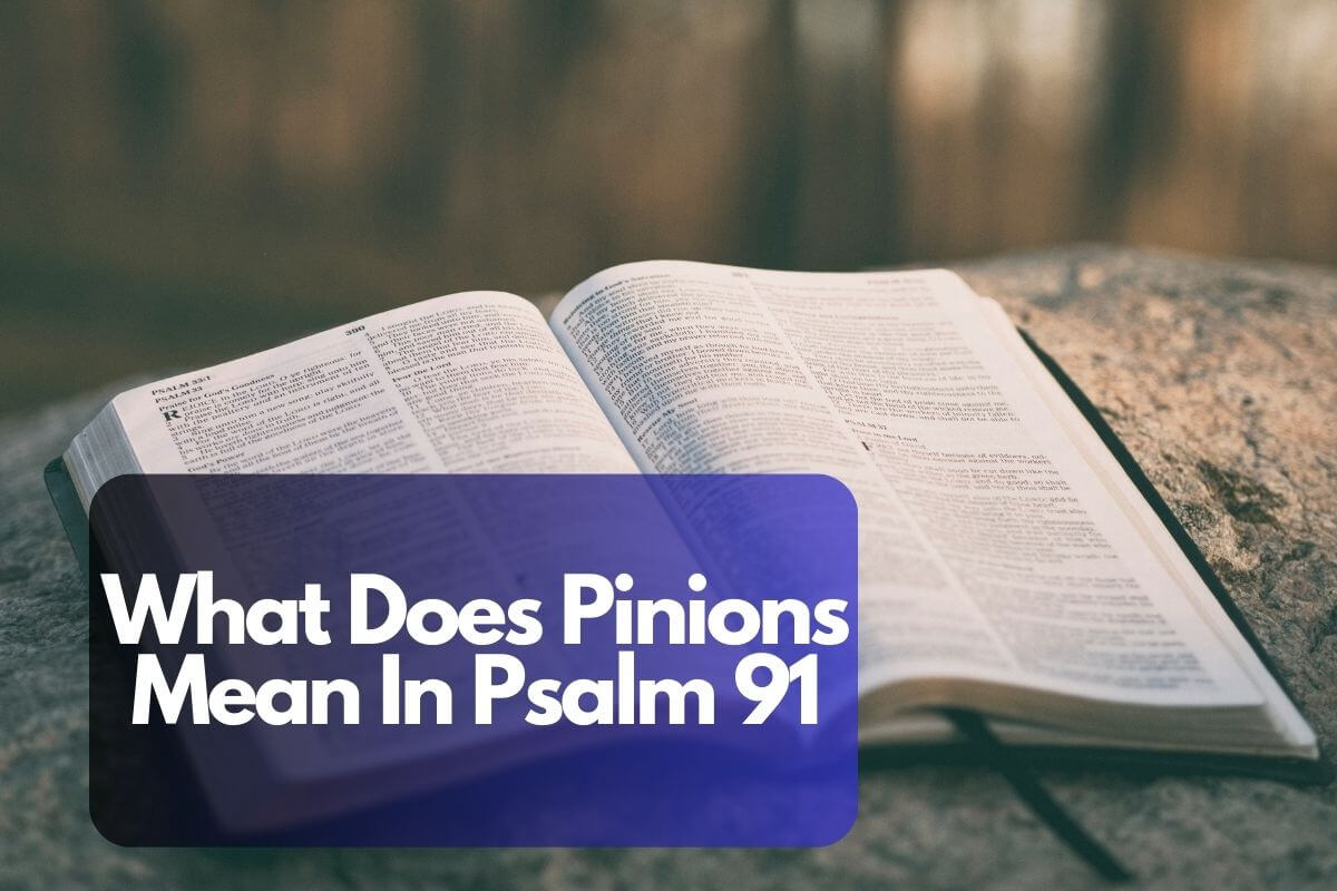 What Does Pinions Mean In Psalm 91