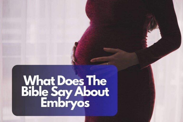 What Does The Bible Say About Embryos