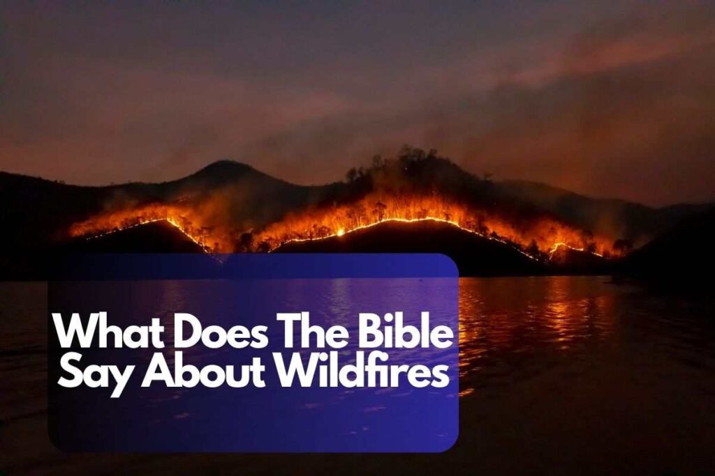  What Does The Bible Say About Wildfires 