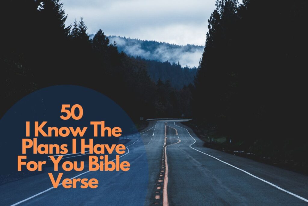 50 Best I Know The Plans I Have For You Bible Verse – Bible Verses of ...