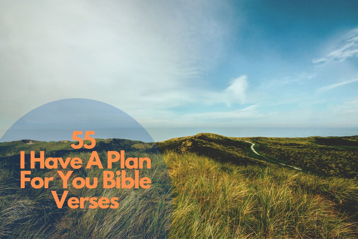 55 I Have A Plan For You Bible Verses