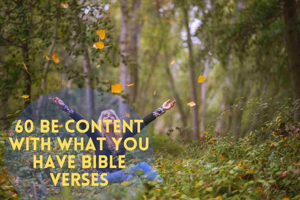 60 Best Be Content With What You Have Bible Verses