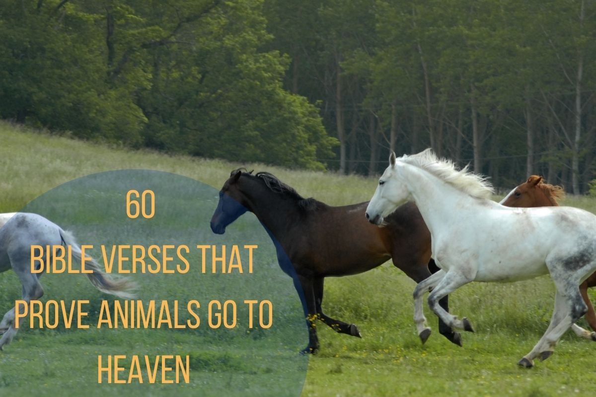 60 Bible Verses That Prove Animals Go To Heaven