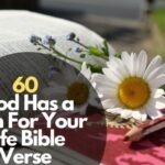 60 God Has a Plan For Your Life Bible Verse