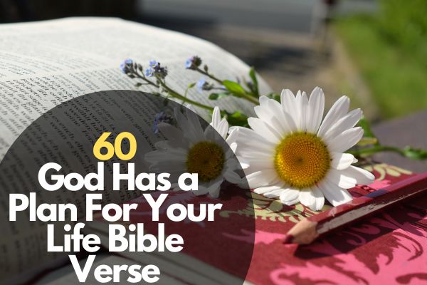 60 God Has a Plan For Your Life Bible Verse