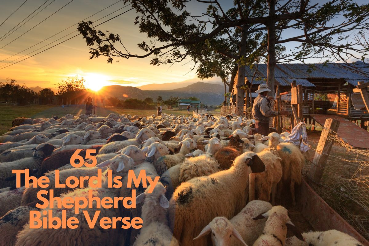 65 The Lord Is My Shepherd Bible Verse