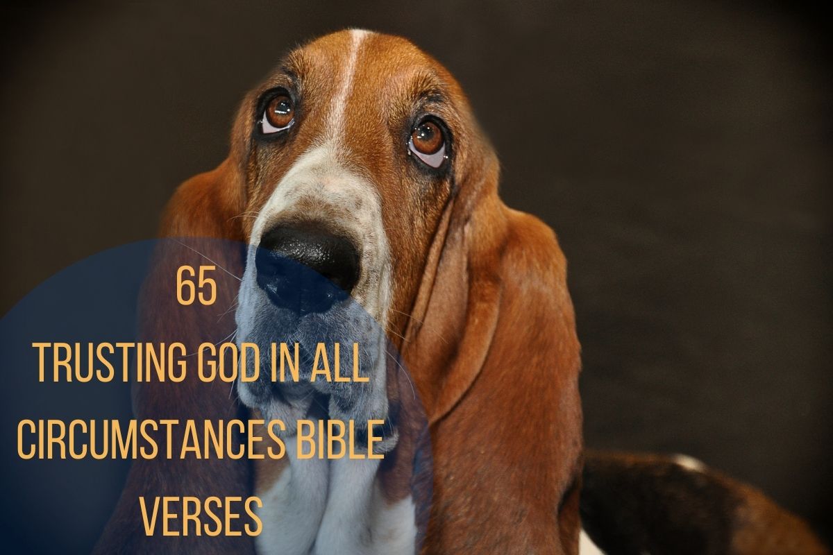 65 Trusting God In All Circumstances Bible Verses