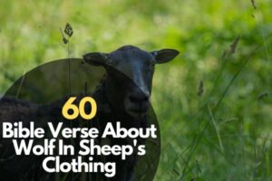 60 Revealing Bible Verse About Wolf In Sheep's Clothing