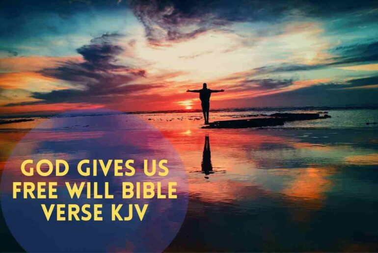 God Gives Us Free Will Bible Verse KJV