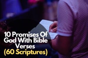 Inspiring 10 Promises Of God With Bible Verses – Bible Verses of the day