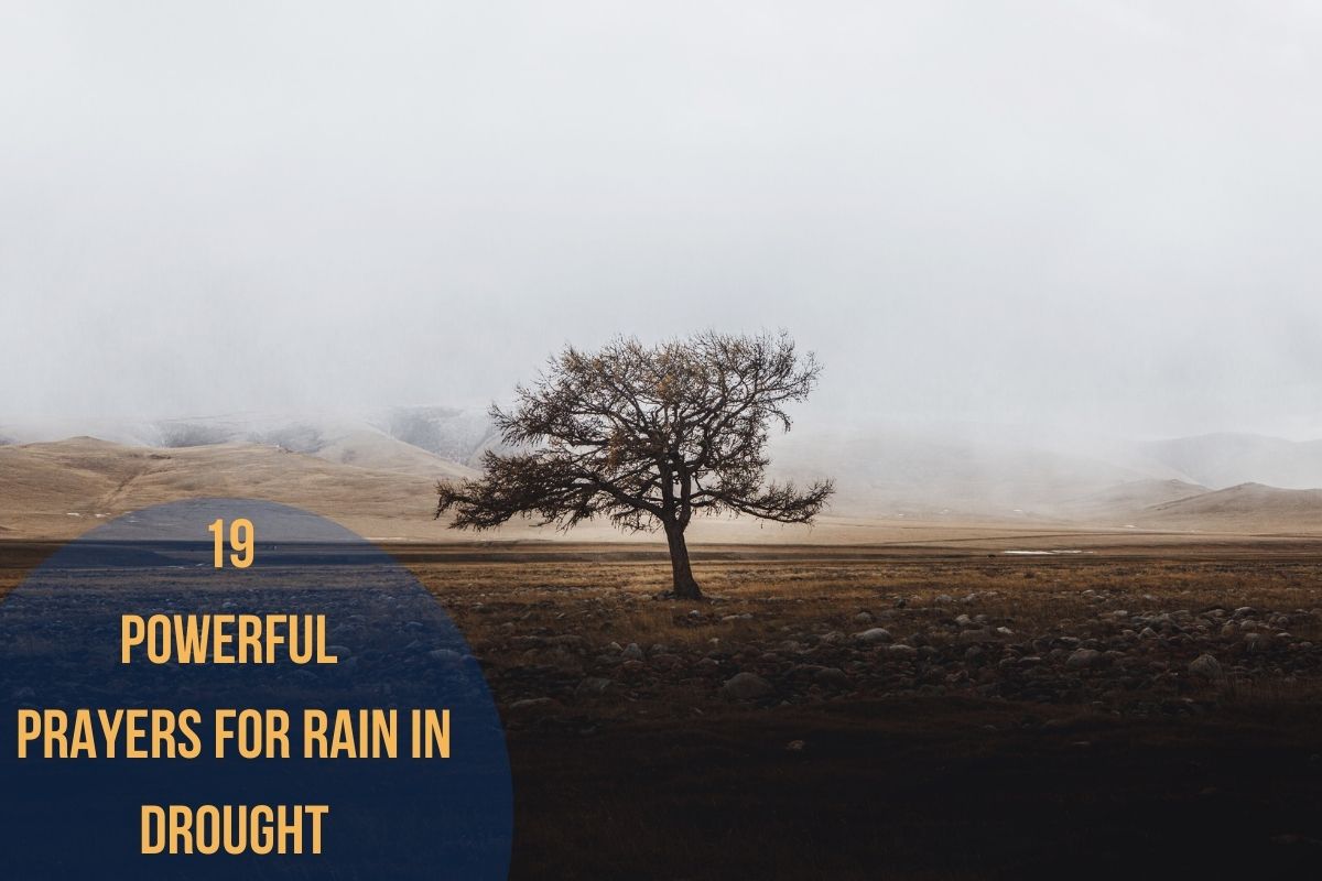 19 Powerful Prayers For Rain In Drought