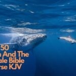 50 Jonah And The Whale Bible Verse KJV