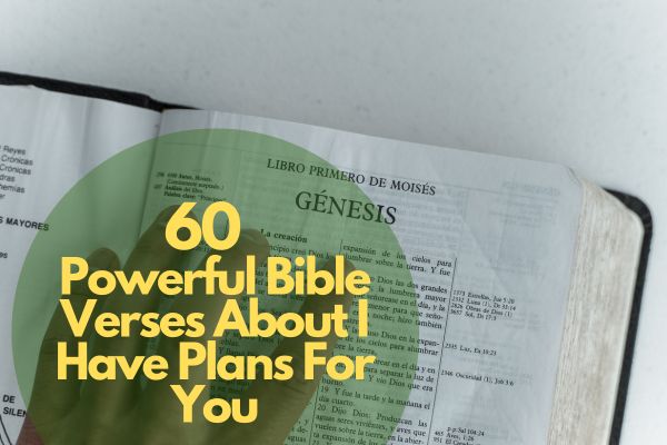 60 Powerful Bible Verses About I Have Plans For You