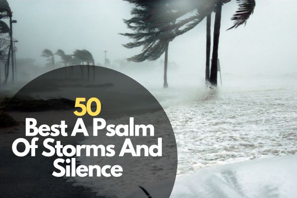 A Psalm Of Storms And Silence