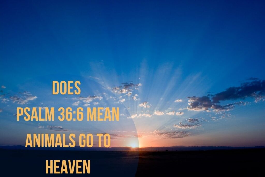 Powerful Does Psalm 366 Mean Animals Go To Heaven Bible Verses Of