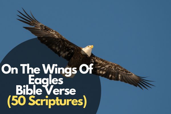 Bible Verse On The Wings Of Eagles