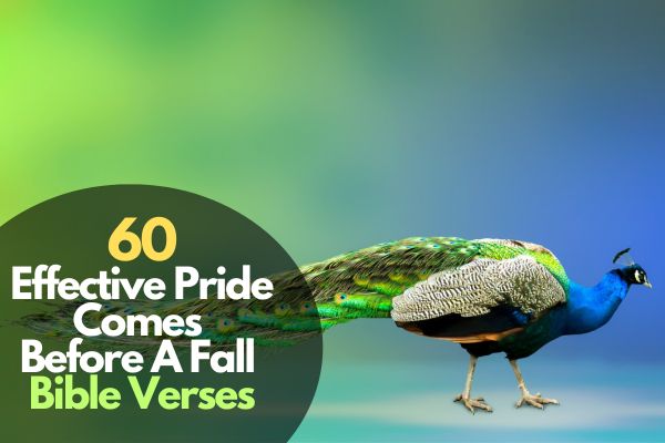 Pride Comes Before A Fall Bible Verses