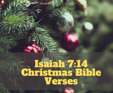 Isaiah 7:14 Christmas Bible Verses