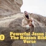 Jesus Is The Reason Bible Verse 1
