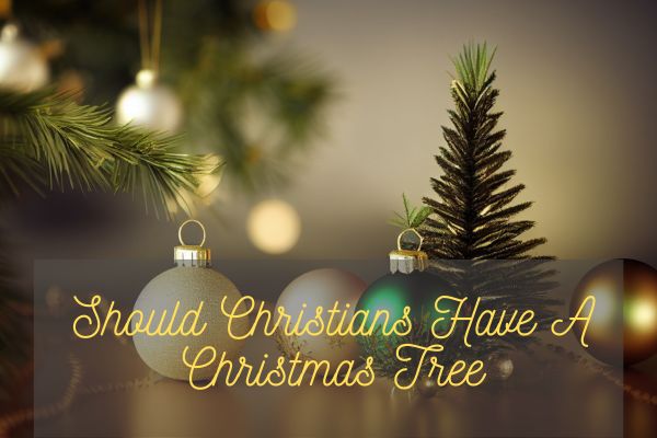 Should Christians Have A Christmas Tree