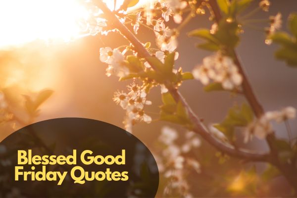 Blessed Good Friday Quotes